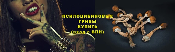 ПСИЛОЦИБИНОВЫЕ ГРИБЫ Арсеньев