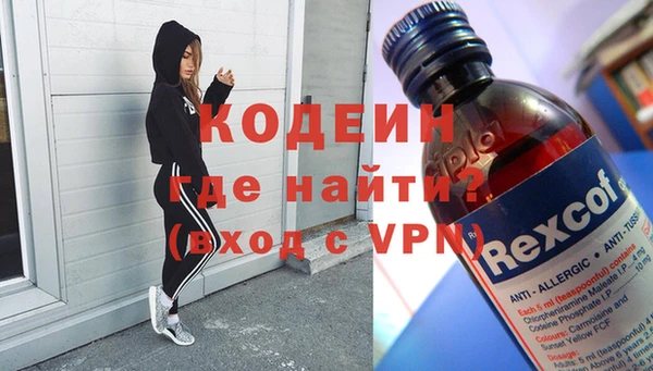 ПСИЛОЦИБИНОВЫЕ ГРИБЫ Арсеньев