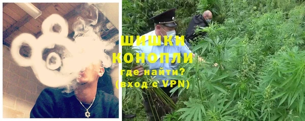 ПСИЛОЦИБИНОВЫЕ ГРИБЫ Арсеньев