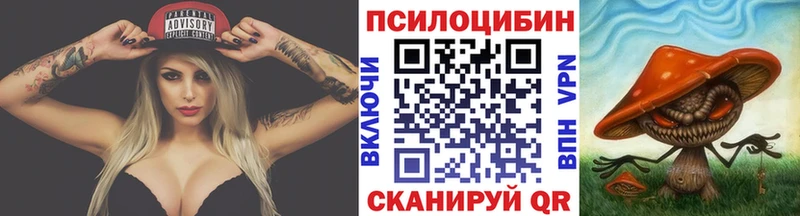 Галлюциногенные грибы Psilocybine cubensis  shop Telegram  Коряжма  цены  