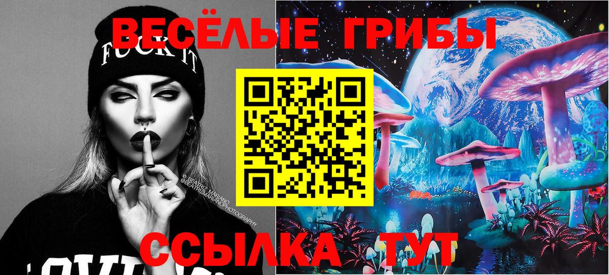 Галлюциногенные грибы GOLDEN TEACHER Коряжма