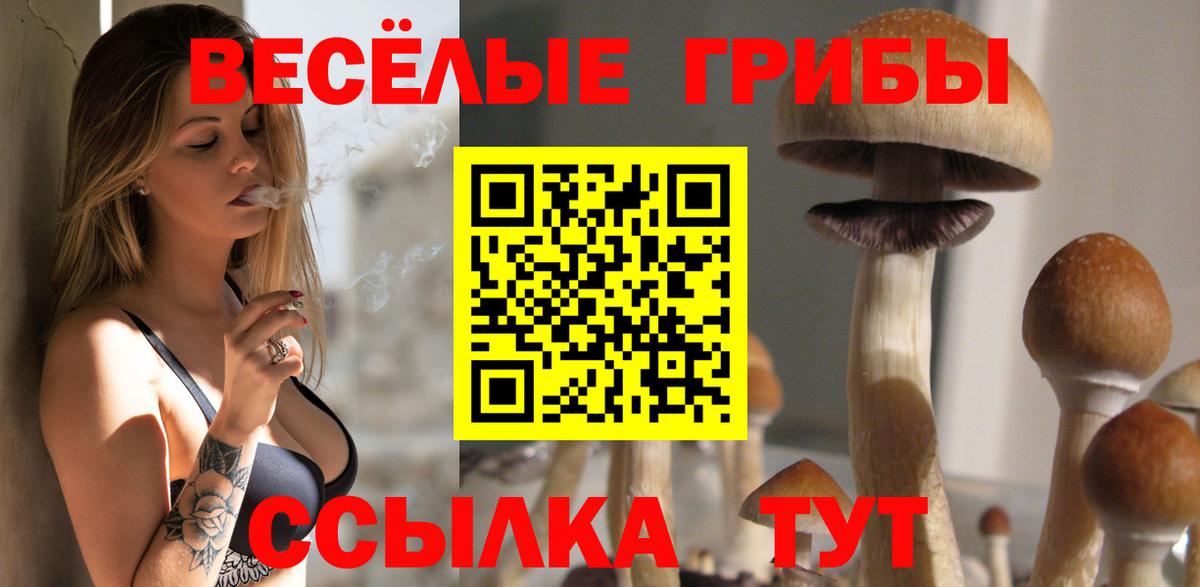хочу наркоту  Псилоцибиновые грибы Magic Shrooms  Вход с VPN  Коряжма 