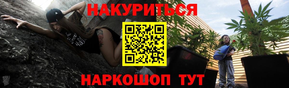 Марихуана сатива  Шишки марихуана планчик  Коряжма  Вход с VPN  Марихуана планчик 
